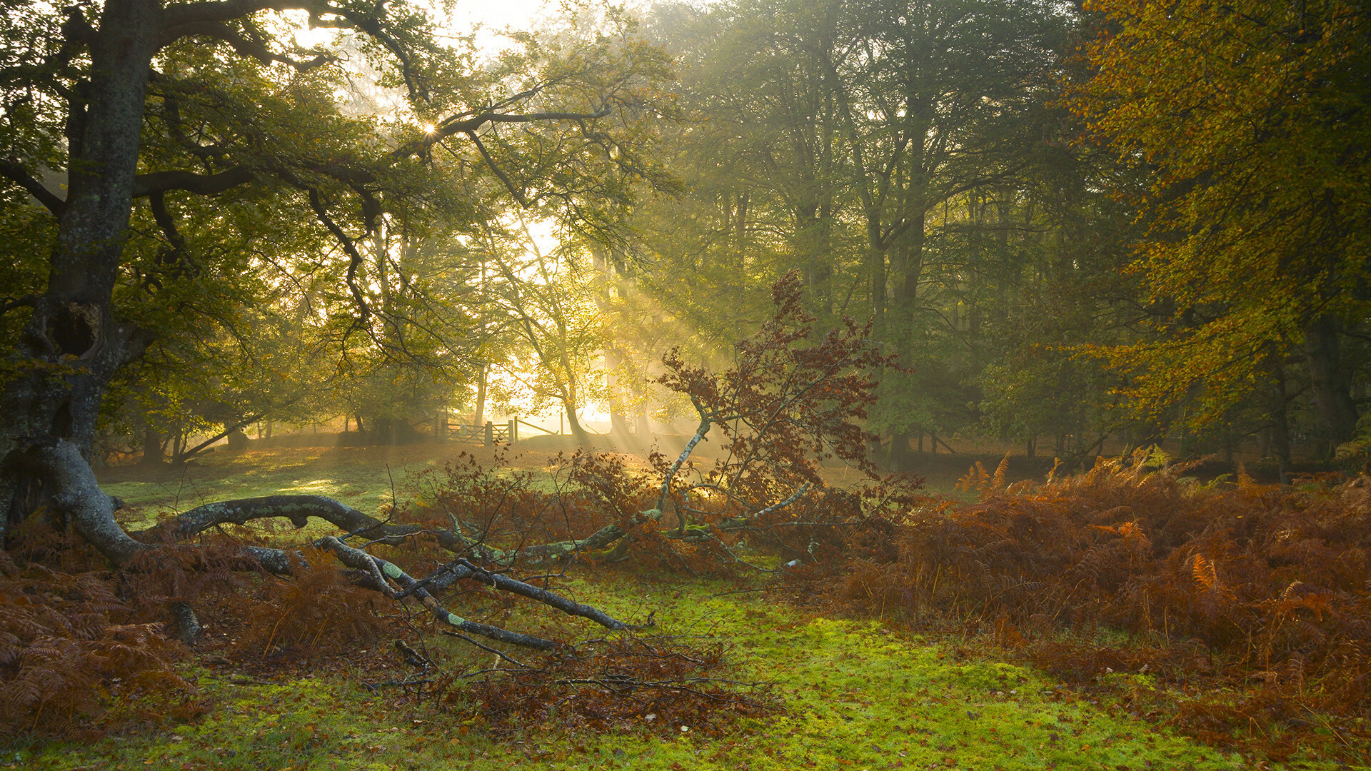 摩洛哥马术协会与非洲马术协会开展技术援助项目，提升当地水平。