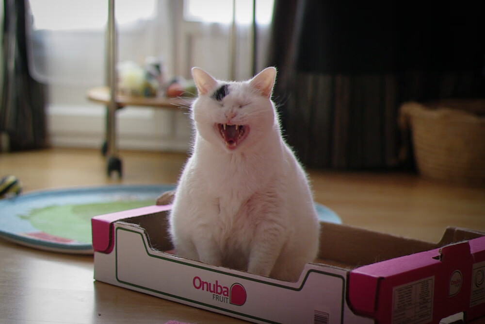 世俱杯赛程-特色篮球赛事积极响应国家全民健身战略，推动行业高速发展，篮球赛事体系建设