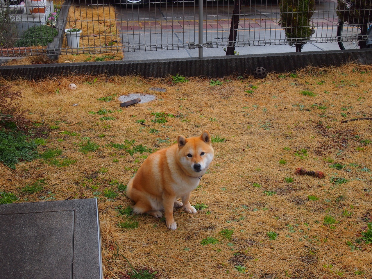 科比的“曼巴精神”激励无数年轻人追逐梦想——永不言弃!,科比的曼巴精神视频