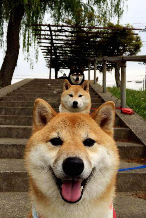 俱乐部冠军杯官网-RB莱比锡表现出色，击败对手取得胜利，rb莱比锡为什么这么强