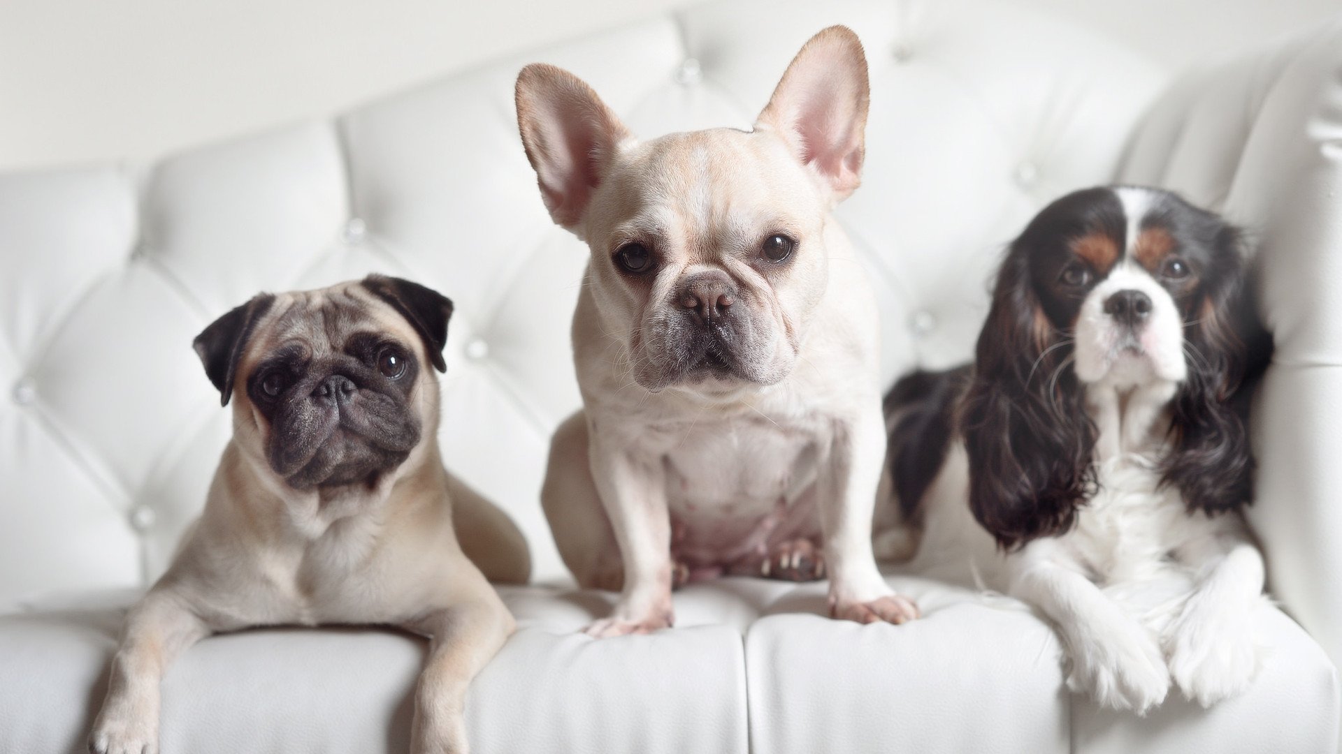 原州东浦新世代比赛节奏控制稳定,原州东浦新世代今天比赛