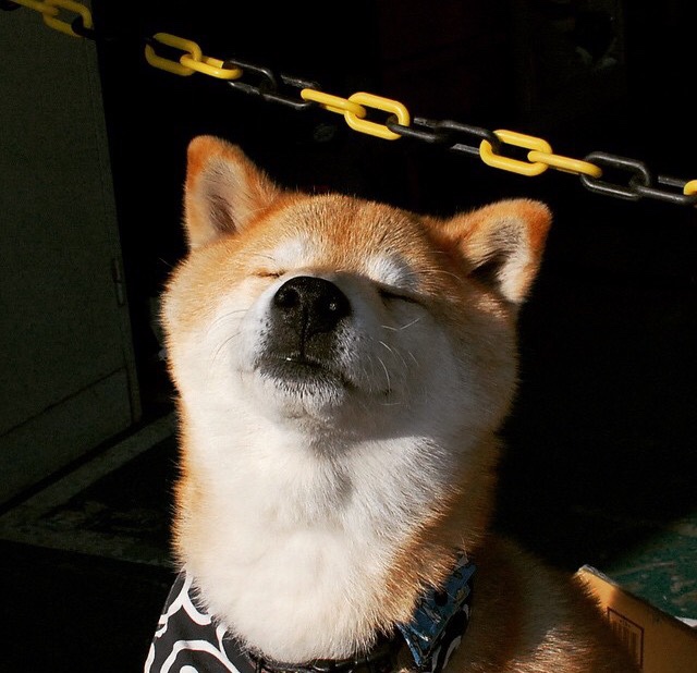 世俱杯官网-官方乒乓球比赛引入AI辅助裁判，官方乒乓球比赛引入ai辅助裁判员