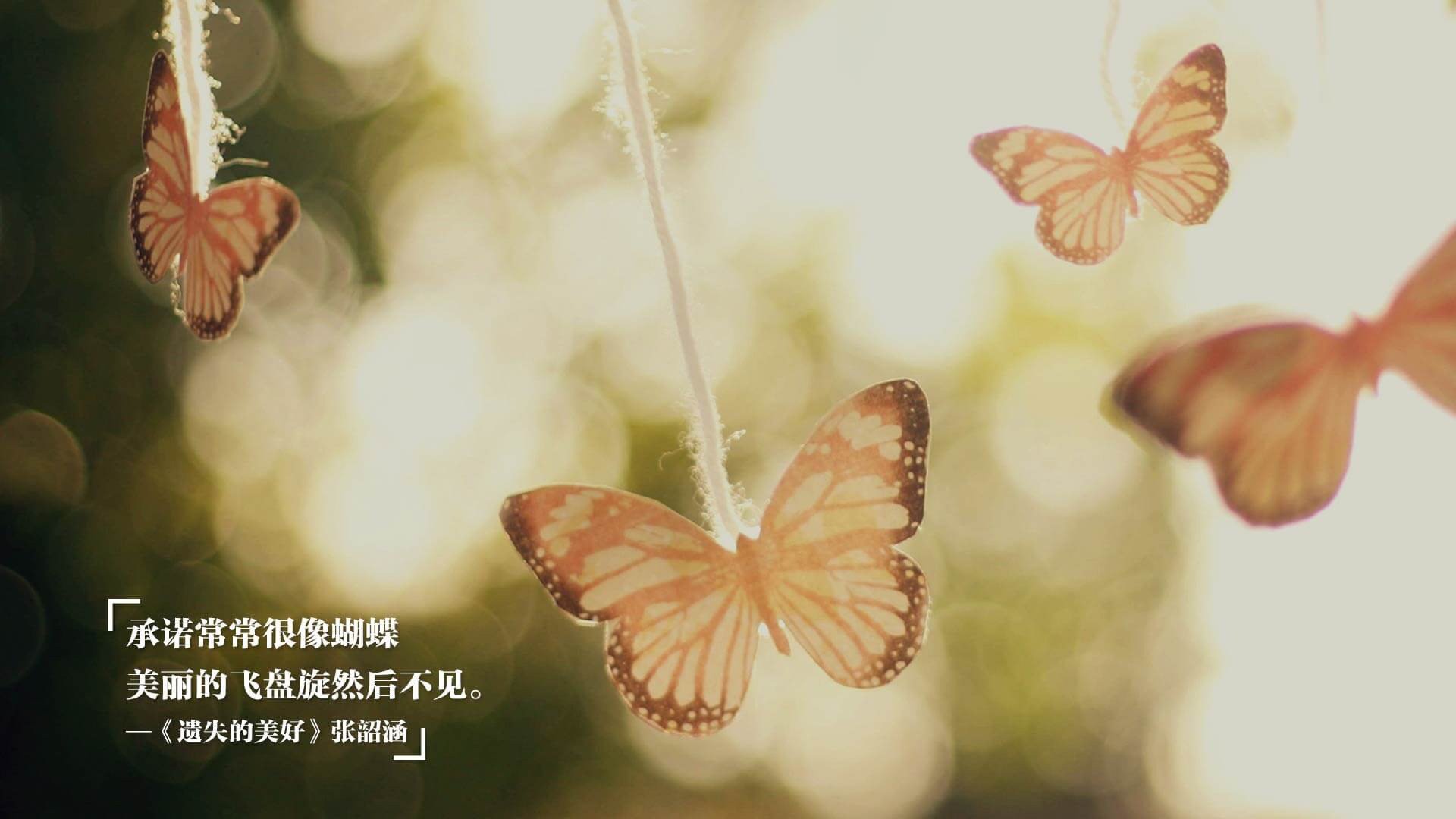 世俱杯2025-维克托·文班亚马（Victor Wembanyama）当选2024年NBA最佳新秀，nba2002年最佳新秀