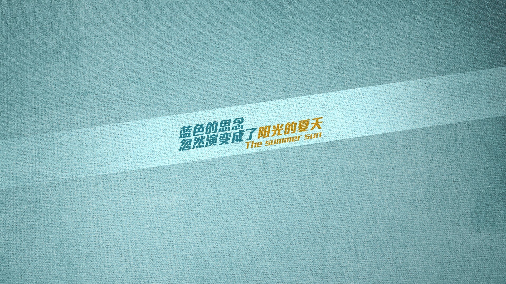 荷兰马术协会与国际马术联合会合作，举办国际马术交流活动，促进技术交流。