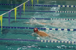 世俱杯决赛-世界青少年游泳接力锦标赛中国队强势出击，世界游泳锦标赛接力决赛