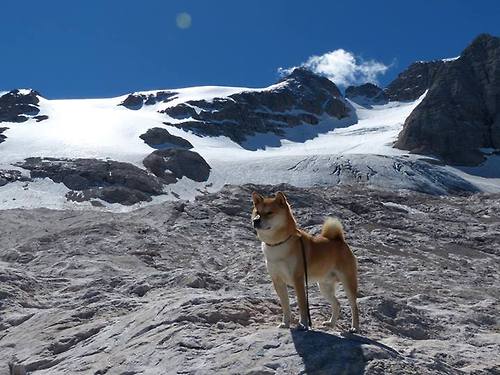 后防线传球稳定性是否优于高压出球策略,足球后防线是什么意思