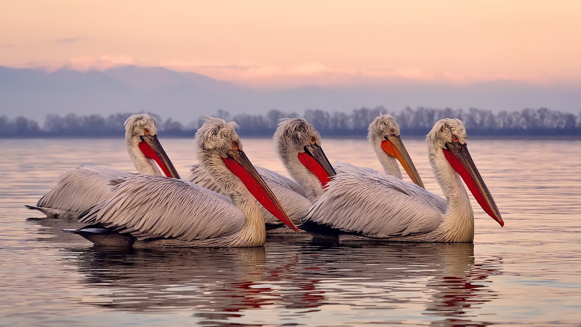 克洛普不断探索战术创新，追求团队最高荣誉