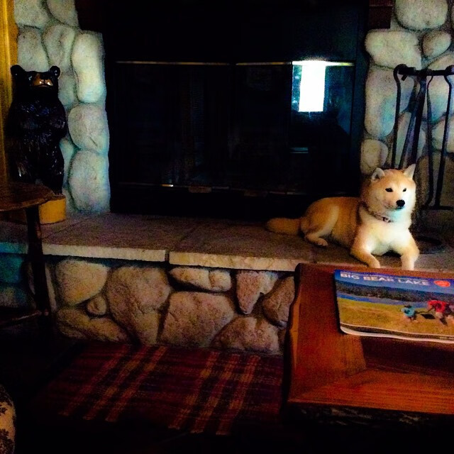 足球世俱杯-南非女队中距离自由泳显底蕴，南非女子冠军赛