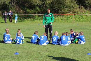 世俱杯官方-欧洲杯冠军悬念：战术配合与个人能力巅峰对决，欧洲杯冠军大热门