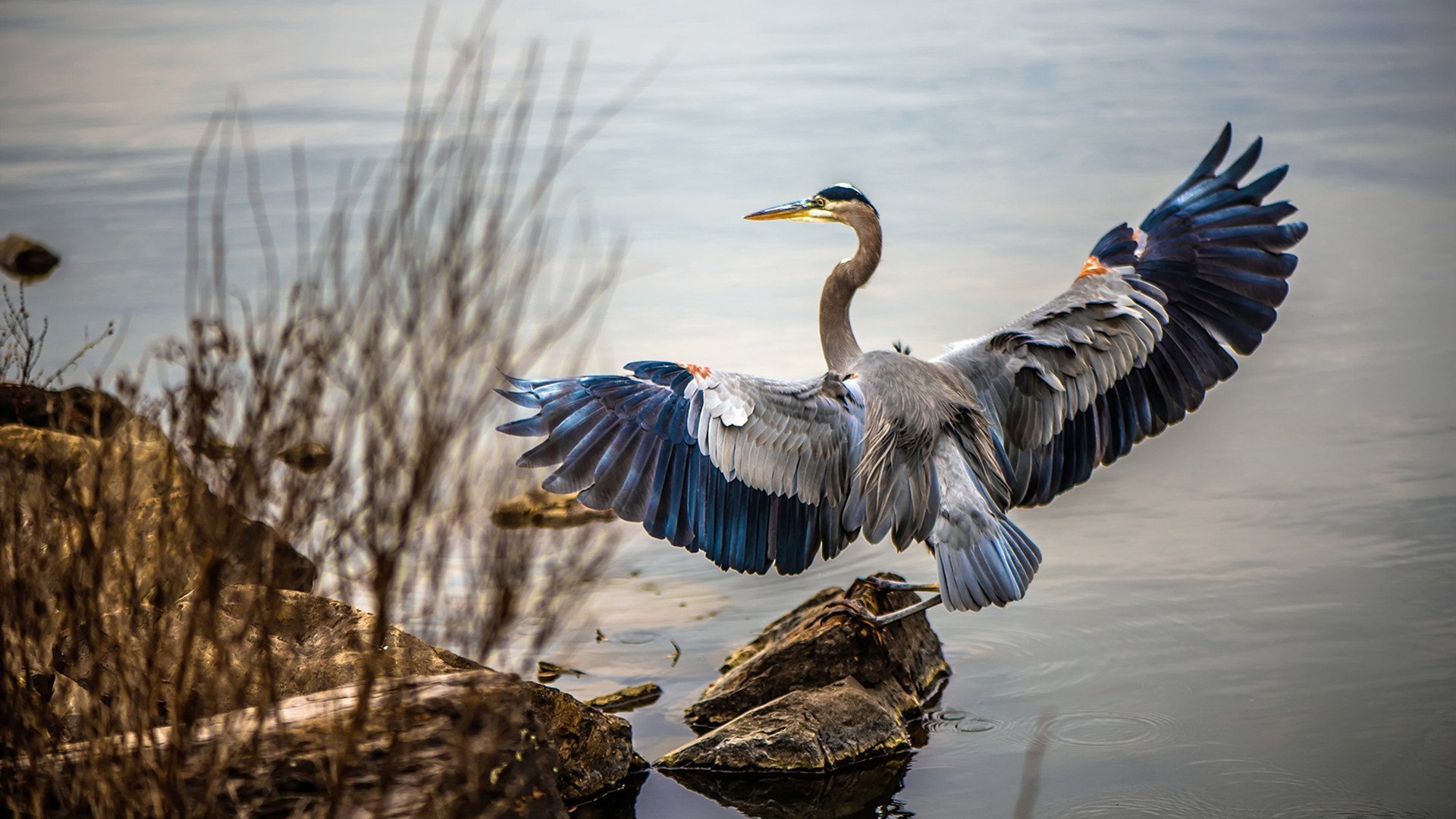 马拉松赛事视觉识别系统实现自动计时，马拉松视觉设计